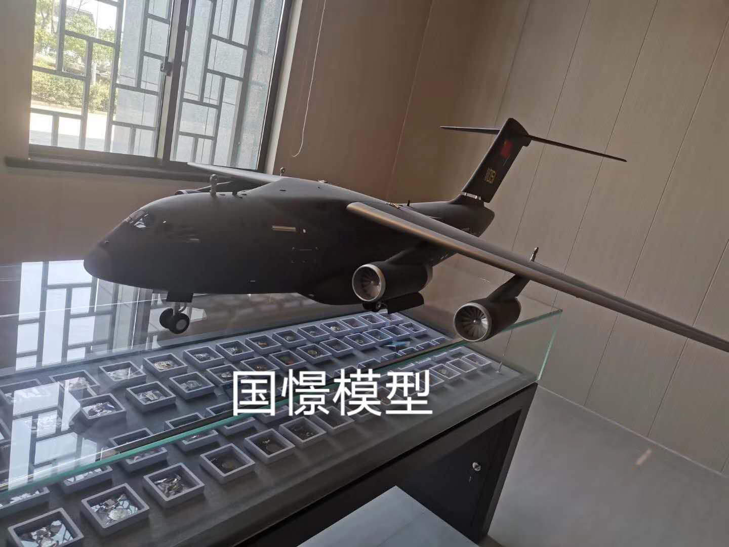 山阳县飞机模型