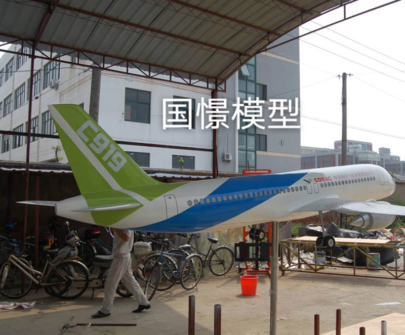 山阳县飞机模型